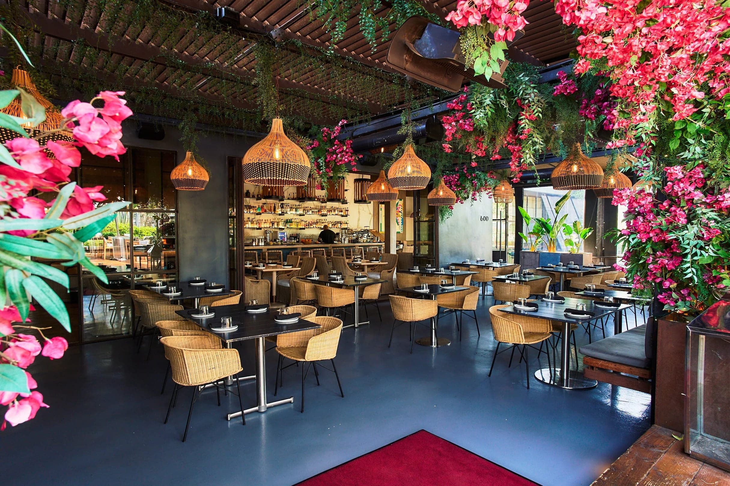 Paloma's dining room in daylight, rattan pendants and bougainvillea hanging above cane chairs