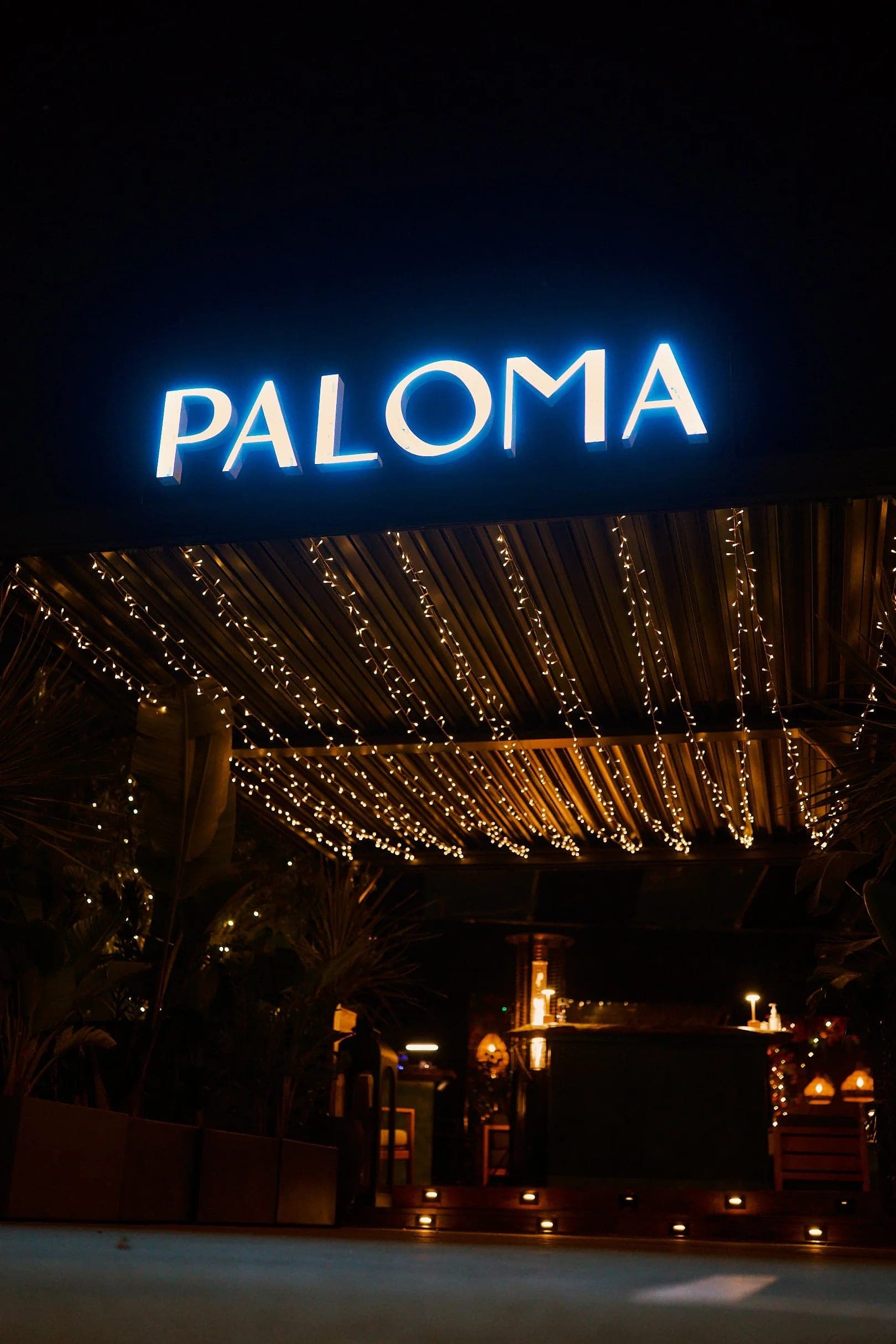 The blue neon Paloma sign above the patio at night, strings of fairy lights fanning out beneath it