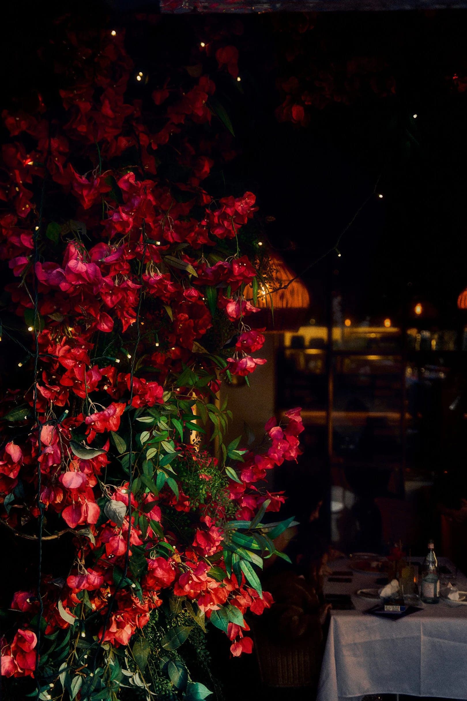 Cascading red bougainvillea over the dining room at night, the lit tables glowing beyond
