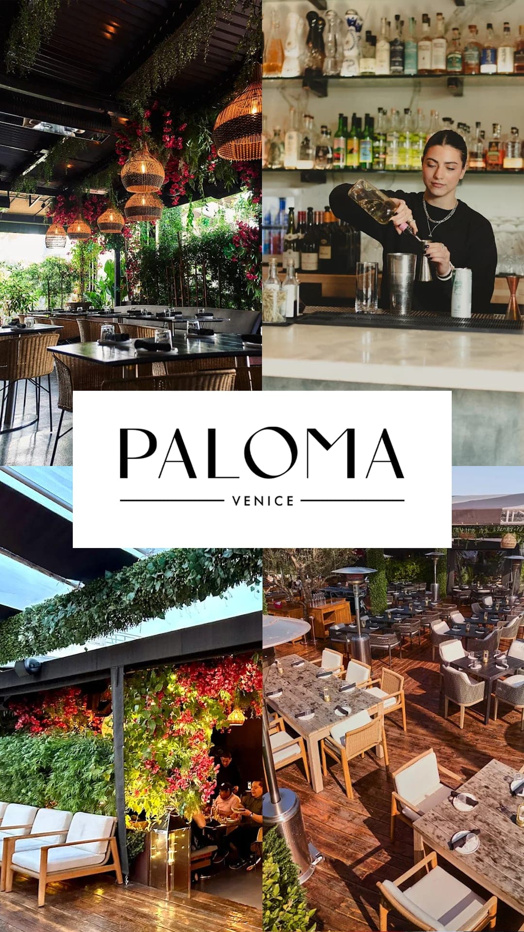 A Paloma Venice card: the covered patio under bougainvillea, a bartender pouring at the marble bar, the living flower wall and the outdoor dining deck.