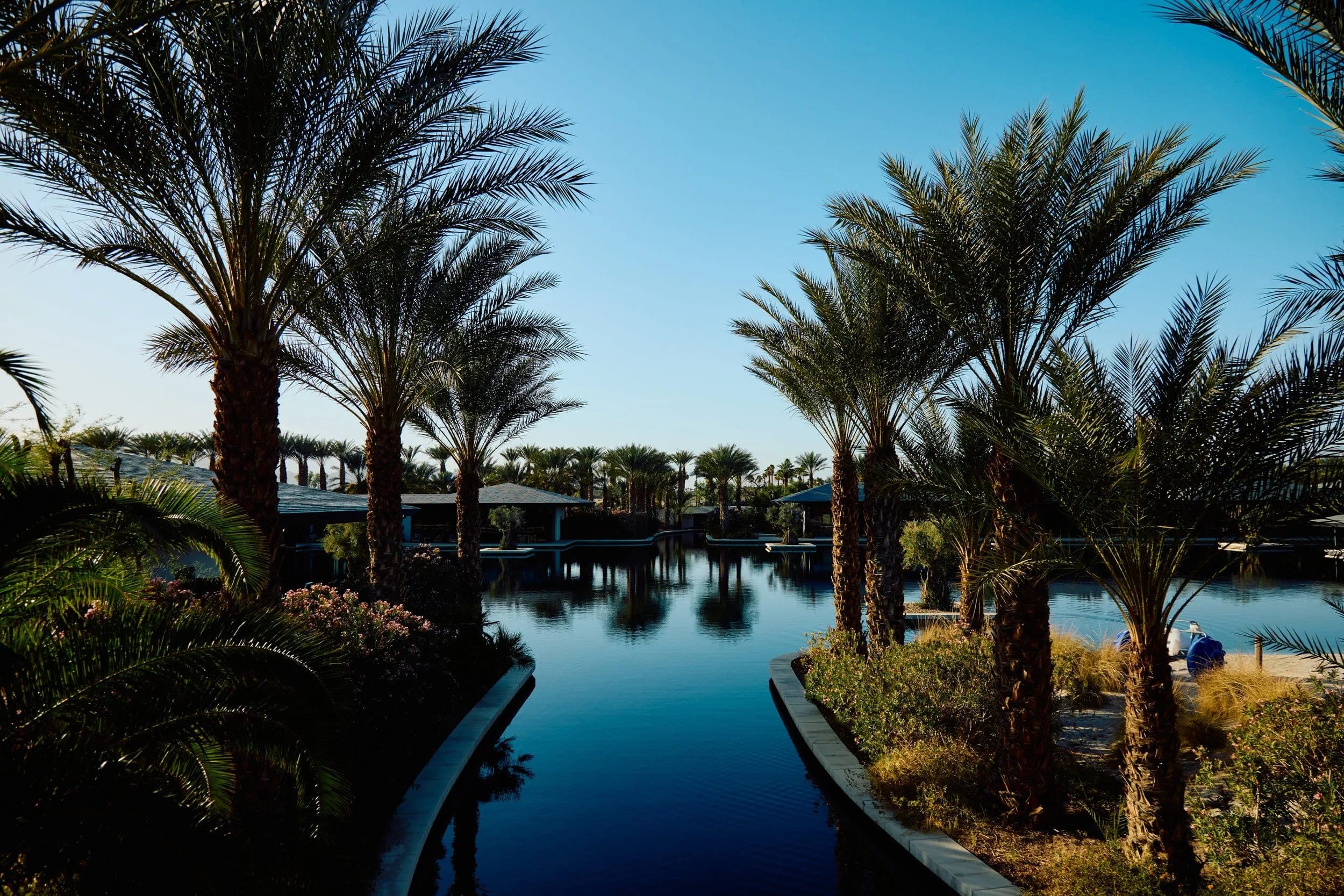 Date palms reflected in the still water of the estate pool under a clear evening sky