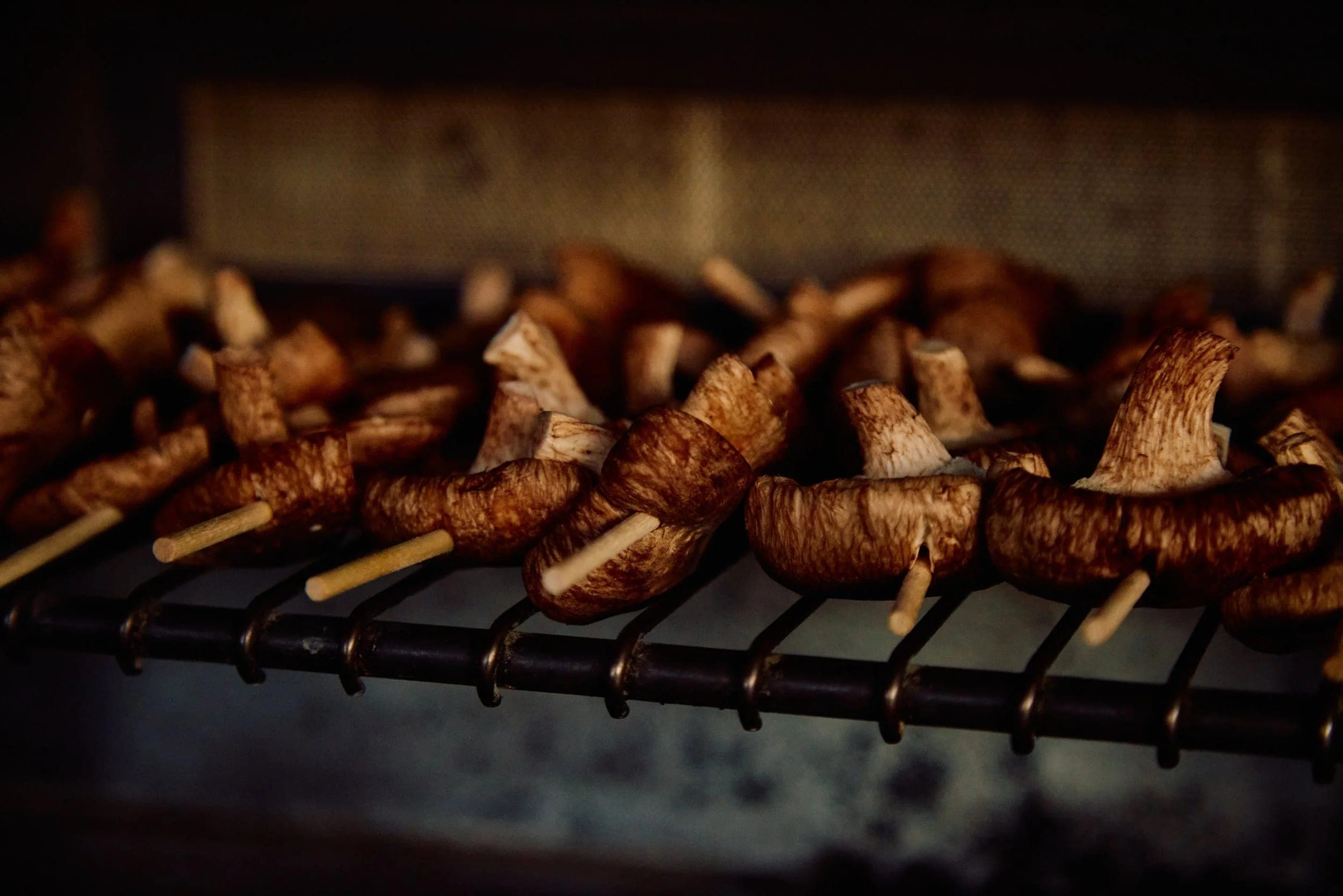Rows of grilled skewers charring across the bars of an open fire grill